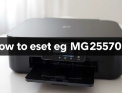 cara reset printer canon mg2570s